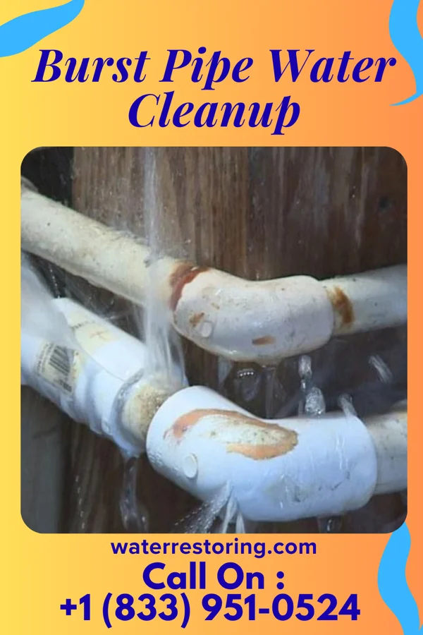 Burst Pipe Water Cleanup in Glenaire, MO
