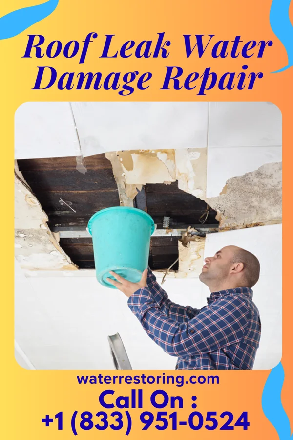 Roof Leak Water Damage Repair in Glenaire, MO